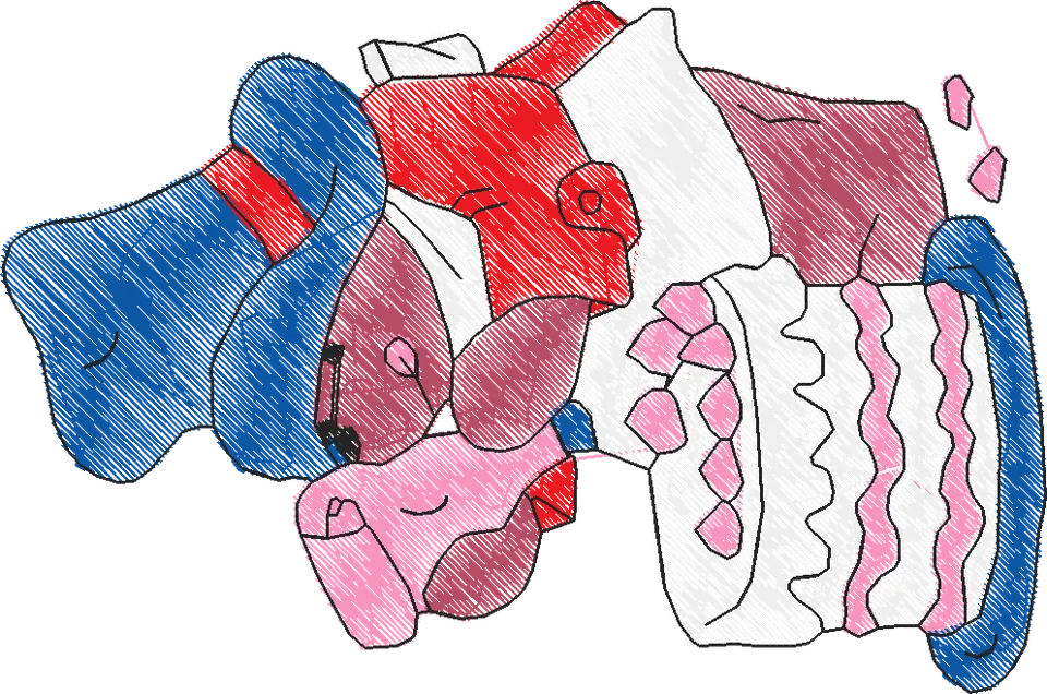 Paddington Bear3 (12)